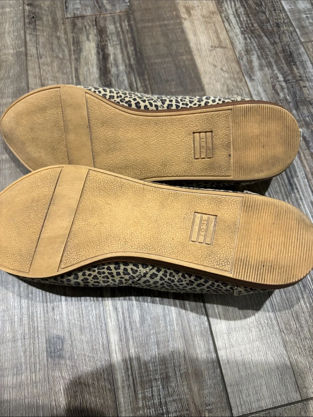 Toms chic leopard